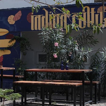 הוסטל רישיקש Indian Culture מראה חיצוני תמונה